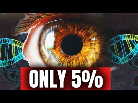 Hazel Eyes: The Genetic TRUTH Behind This Unique Phenomenon