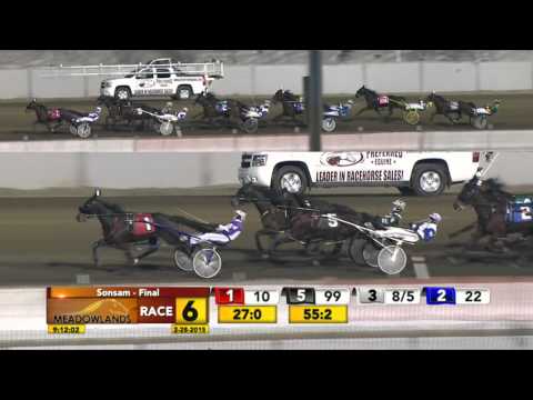 Sonsam Final - Rockeyed Optimist - Meadowlands February 28, 2015