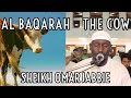 Soninke African Tone Surah Al Baqarah FULL Taraweeh The Cow سورة البقرة كاملة Sheikh 