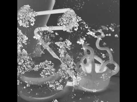 Cucina Povera - Totean [Official Audio]