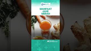 Konsumsi Jahe Merah Bagus untuk Kesehatan Tubuh, Termasuk Meningkatkan Gairah Seksual & Obat Luka