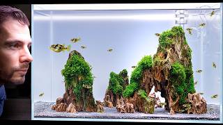 I made a Pea Puffer Aquarium: Cinematic Aquascape Tutorial