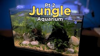 How to: Pt 2 I planted up a nano Jungle Aquascape (No C02 Walstad Style Aquascape Tutorial)