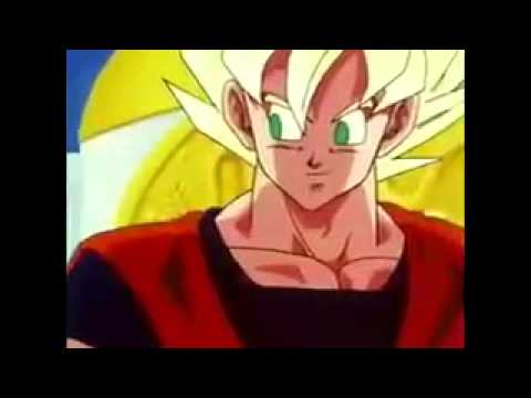 Maior humilhação de vegeta