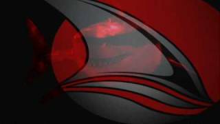 Killa Sharks - The Real Killa Sharks