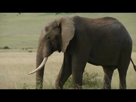 12 days Kenya and Tanzania Budget Holiday Safari