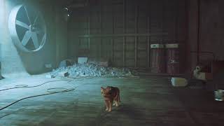 【Stray】猫になれるやつ。※初見配信※【ゲーム配信】