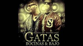 Farruko - Gatas, Bocinas Y Bajo (feat  Daddy Yankee)