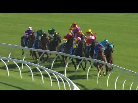 2020 Sires Produce Stakes | King's Legacy