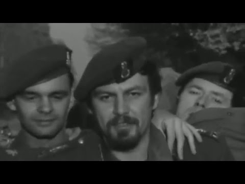 Zjef Vanuytsel - De Zotte Morgen (Official Remastered Music Video)