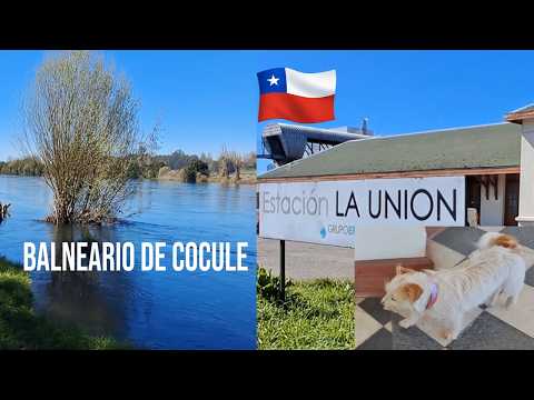 Cocule y la Estación de La Unión: Agua y Rieles en el Corazón del Ranco, Región de Los Ríos, Chile