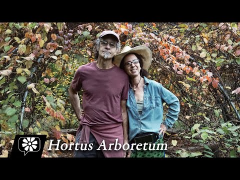 Hortus Arboretum