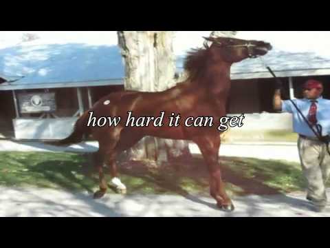 //{тнαηкуσυ}\\αη∂//{ιℓσνєуσυ}\\