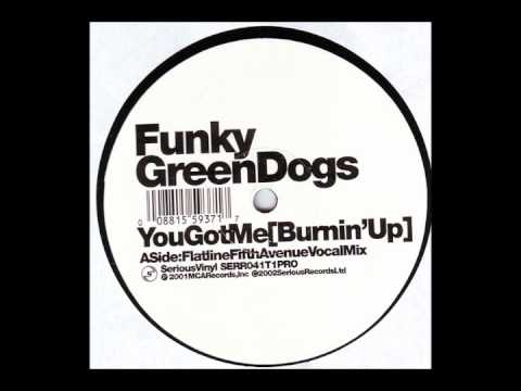 Funky Green Dogs - You Got Me (Burnin' Up) (Flatline Fifth Avenue Vocal Mix)