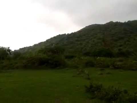 video 2014 06 08 16 01 32 Farm Bird Sound