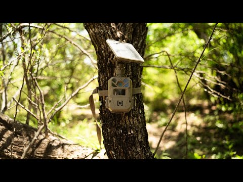 Meet the EDGE SOLAR from Moultrie
