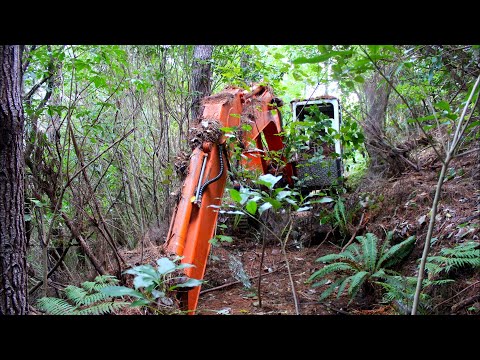 Abandoned Excavator left in woods for 16 years- Will it start ??