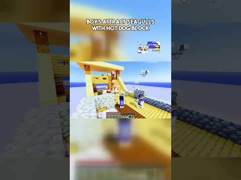 Seagulls Attack! Hot dogs vs. Minecraft