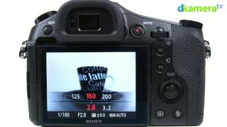 Sony Cyber-shot DSC-RX10 Test (7/7): Fazit