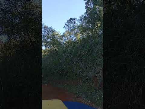 caminho alternativo de Alagoa MG para Monte Belo