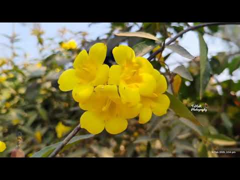 Welcome to TaHeR Photography @taherul98