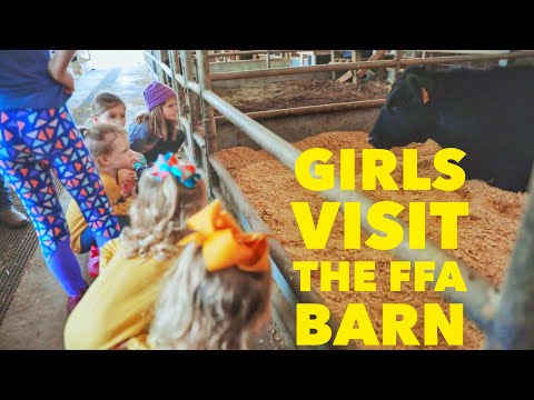 Busbys visit a local FFA Barn