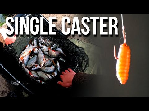 THE BEST WAGGLER SESSION EVER - ROACH FISHING