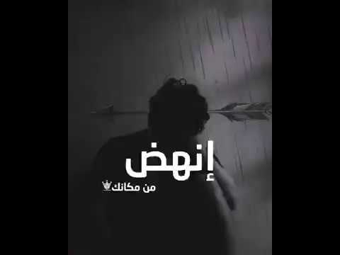 العمل لا يقتل مهما كان شاقًا وقاسيًا، ولكن الفراغ...