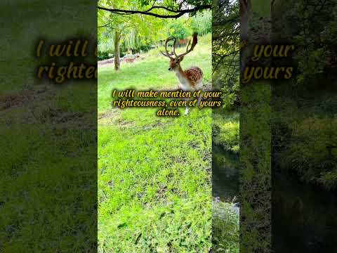 Psalm 71 Youth to Old Age.