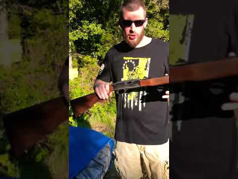 Winchester Model 290 Review