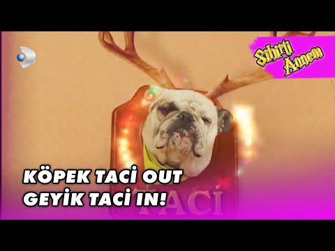 Dudu, Taci'yi GEYİK YAPTI! - Sihirli Annem Özel Klip
