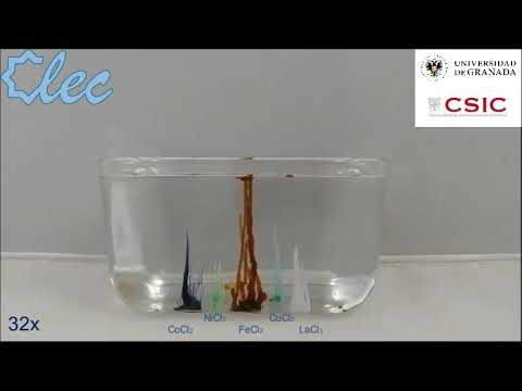 Formation of silica-based self-assembled mineral structures known as Chemical Gardens