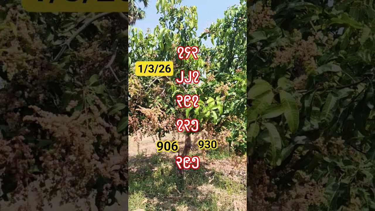 #3DPaukThee@အကြိုက်တူသူများသို့