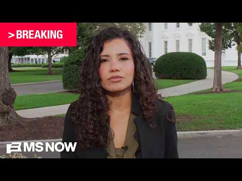 BREAKING: MS NOW journalists start regaining access to White House grounds