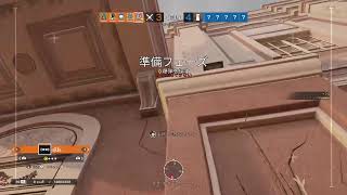 肝臓と伴走