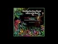 Everything You Ever Wanted To Hear On The Moog But You Were Afraid To Ask Complete Album