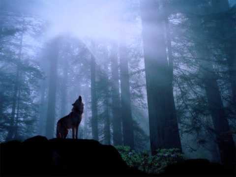 Folkearth - Gaelic Valor