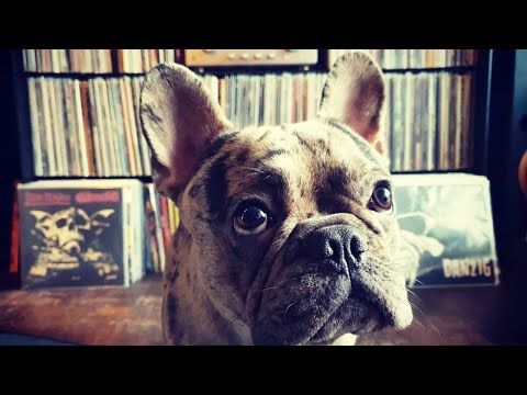 Thrasher's Wonderful World of Wax - Episode 23