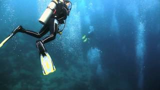 preview picture of video 'Davao Scuba diving ,Going down, March 2012'