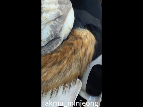 170114 악동뮤지션 영등포 팬싸인회_멘트, 오랜날오랜밤_마이크사고 귀여운대처♥