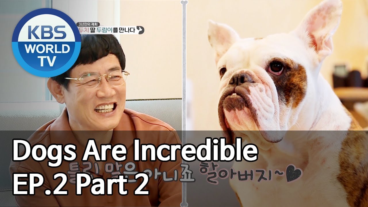 Dogs are incredible | 개는 훌륭하다 EP.2 Part 2 [SUB : ENG/2019.12.04]