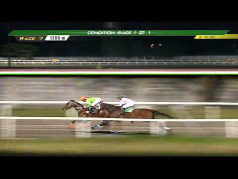 PRCI Race 7 February 19, 2020