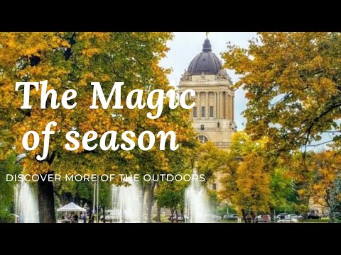 Fall colour in Winnipeg || Road side fall colour Winnipeg,MB,Canada🇨🇦