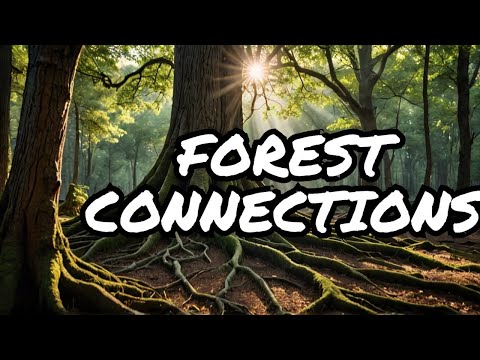 How Trees Secretly Talk to Each Other