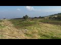 Mergivergis Klisenin Dovari