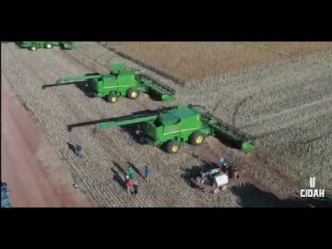 Grain Harvest South Eastern Australia