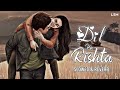 Dil Ka Rishta - (Slowed+Reverb) Lofi | Udit Narayan, Kumar Sanu, Alka Y | Hindi Song | Lyrics | LSM