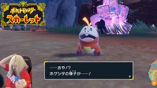 【#2】『絶対に進化させたくない配信者 vs 絶対に進化するホゲータ』がお届けするポケモンスカーレット・バイオレット実況！！！！【ポケモンSV】