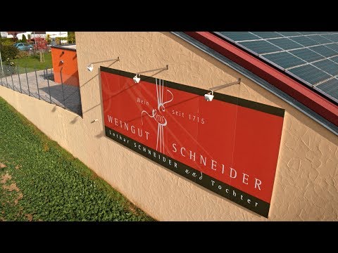 Kraut & Reben im Weingut Schneider - Best Of Wine Tourism Award 2016