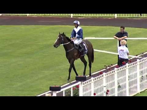 Ascot, 12/12/15, Race 1 - SWEDISH MEMORIES - Kyle Nowland &  Peter Knuckey